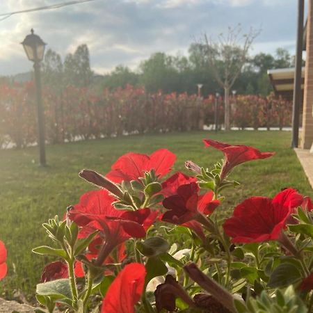 Bed and Breakfast Bed & Breakfast Memory Canzano Экстерьер фото